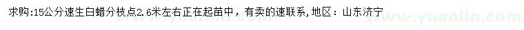 求購(gòu)15公分速生白蠟