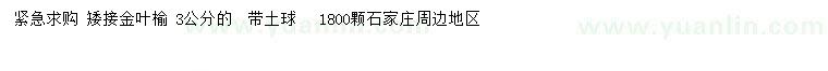 求購3公分矮接金葉榆