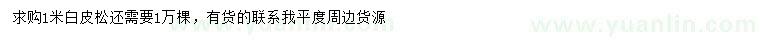 求購1米白皮松