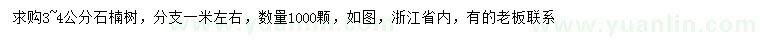 求購3-4公分石楠
