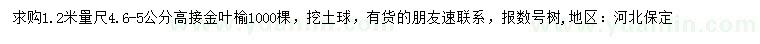 求購1.2米量4.6-5公分高接金葉榆