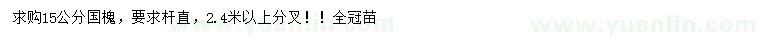 求購(gòu)15公分國(guó)槐