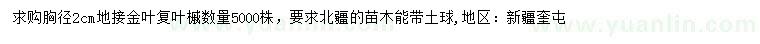 求購胸徑2公分金葉復(fù)葉槭
