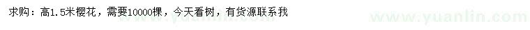 求購(gòu)高1.5米櫻花