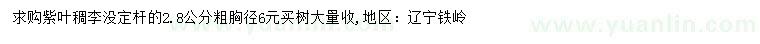 求購胸徑2.8公分紫葉稠李