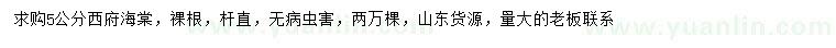 求購(gòu)5公分西府海棠