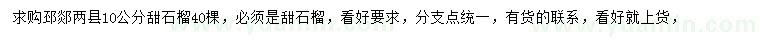 求購10公分甜石榴