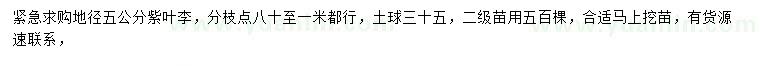求購地徑5公分紫葉李