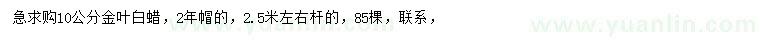 求購10公分金葉白蠟