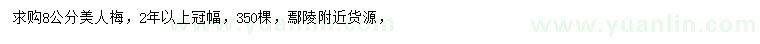 求購8公分美人梅