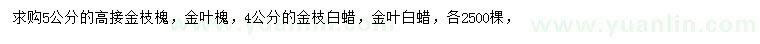 求購(gòu)金枝槐、金葉槐、金枝白蠟等