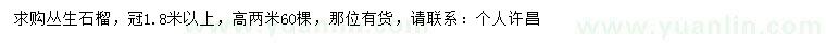 求購冠1.8米以上叢生石榴