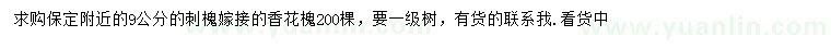求購9公分香花槐