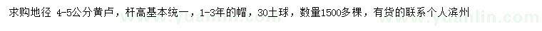 求購地徑4-5公分黃櫨