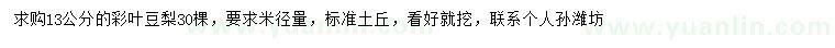 求購米徑13公分彩葉豆梨