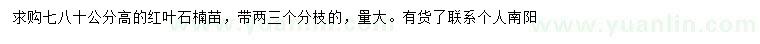 求購高70-80公分紅葉石楠