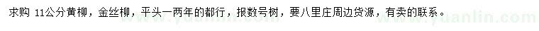 求購11公分黃柳、金絲柳