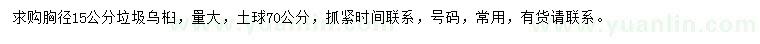 求購胸徑15公分烏桕