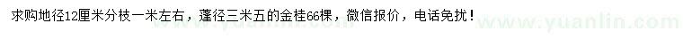 求購地徑12公分金桂