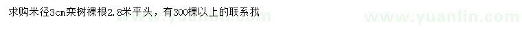 求購米徑3公分欒樹