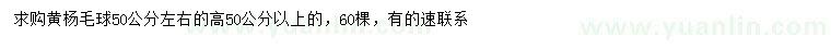 求購50公分左右黃楊球