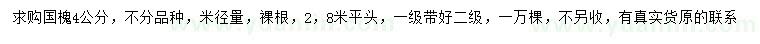 求購米徑4公分國槐