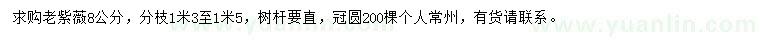 求購8公分老紫薇
