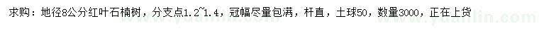 求購地徑8公分紅葉石楠