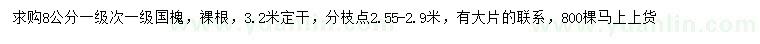 求購8公分國(guó)槐