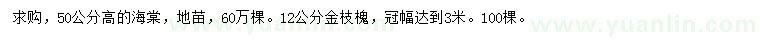 求購高50公分海棠、12公分金枝槐