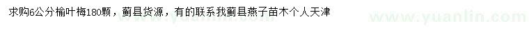 求購6公分榆葉梅
