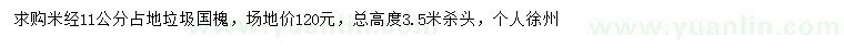 求購(gòu)米徑11公分國(guó)槐