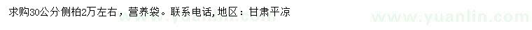 求購(gòu)30公分側(cè)柏
