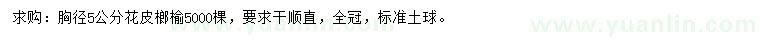 求購胸徑5公分花皮榔榆