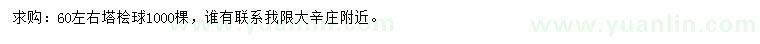 求購60公分塔檜球