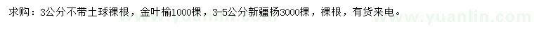 求購3公分金葉榆、3-5公分新疆楊