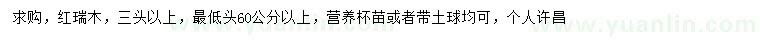 求購(gòu)紅瑞木