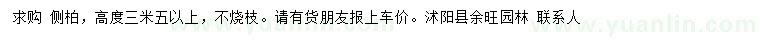 求購高3.5米以上側(cè)柏
