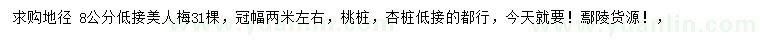 求購(gòu)地徑8公分美人梅