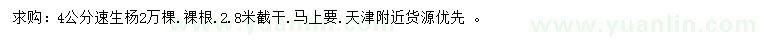 求購4公分速生楊