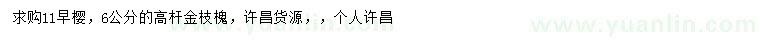 求購早櫻、6公分金枝槐