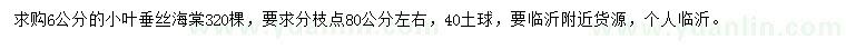 求購(gòu)6公分小葉垂絲海棠