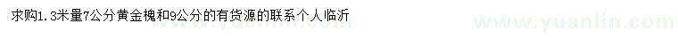 求購(gòu)1.3米量7、9公分黃金槐