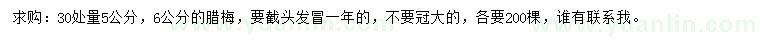 求購6公分臘梅