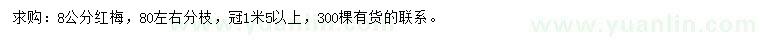 求購8公分紅梅