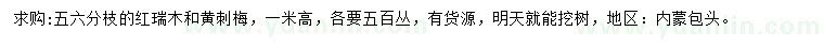 求購(gòu)高1米紅瑞木、黃刺梅