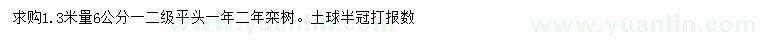 求購1.3米量6公分欒樹