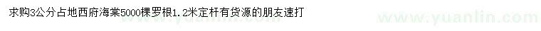 求購3公分西府海棠