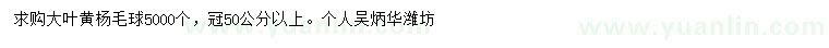 求購(gòu)冠幅50公分以上大葉黃楊毛球