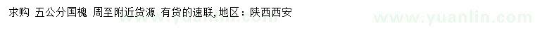 求購5公分國槐